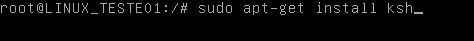 Instalando Korn Shell no Debian