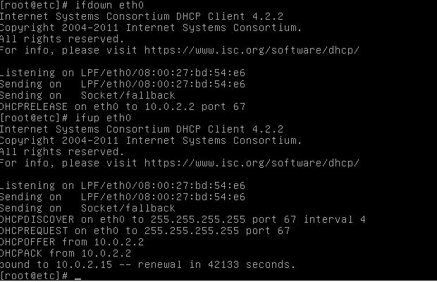 Renovando a concessão de IP no Linux